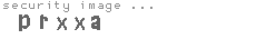 security image