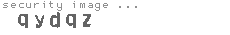 security image