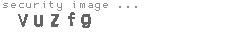 security image
