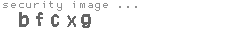 security image