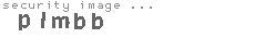 security image