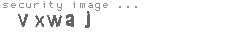 security image