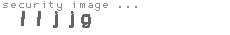 security image