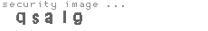 security image