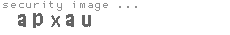 security image