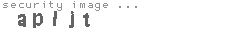 security image