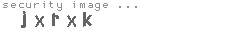 security image