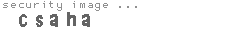 security image