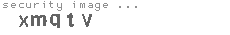 security image