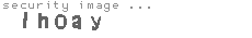 security image