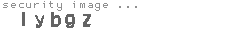 security image
