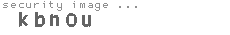 security image