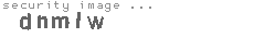 security image