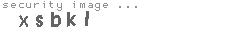 security image