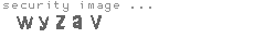 security image