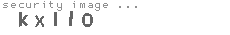 security image