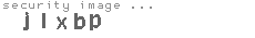 security image
