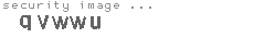 security image