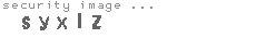 security image