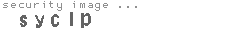 security image