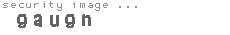 security image