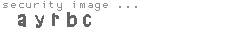 security image