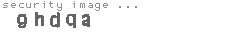 security image