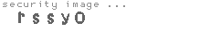 security image